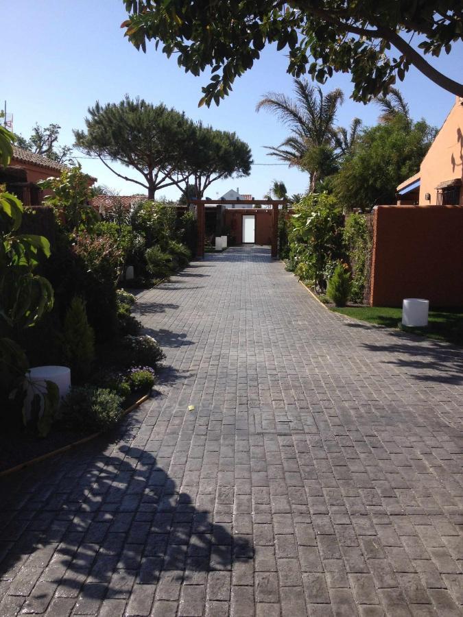 Estudio Con Jardincito Privado Barbacoa Y Piscina 加的斯 外观 照片